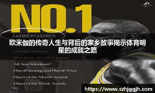 星空综合(中国)官方网站