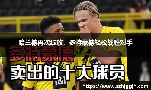 哈兰德再次绽放，多特蒙德轻松战胜对手